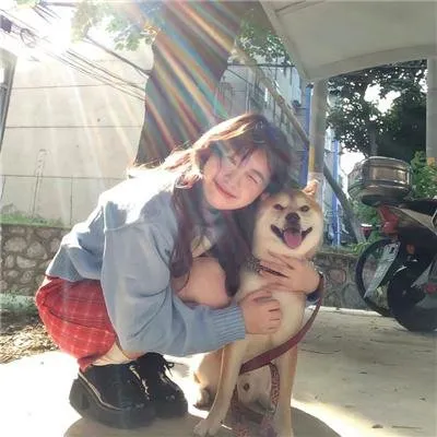 【悬疑穿越】《忒修斯之船》竹内凉真全集高清：警察穿越回31年前，为死刑犯父亲洗清投毒案冤屈